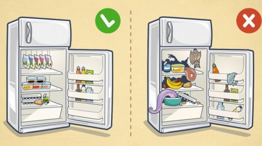 Чистота и порядок в холодильнике: 10 лайфхаков 
